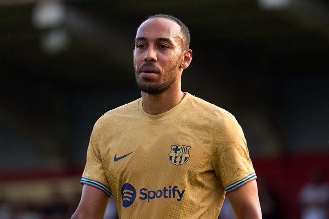 岛国三级在线看